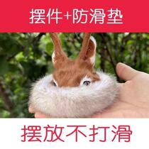 Great Xingan Ridge Orlen Spring Nation True Mao Roe Roe Roe Corner Cap Swing Piece Mini Decoration Individuality Roe Head Emulation