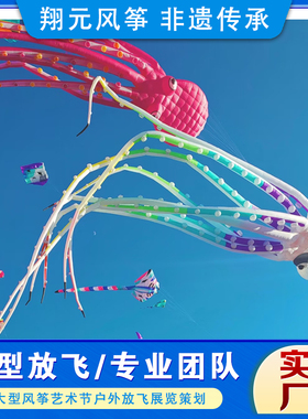 全国承接大型软体风筝策划放飞