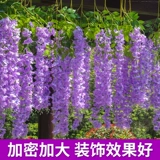 Симуляция глицерия цветочный фасоль цветочный фасоль фиолетовый шелковый цветок