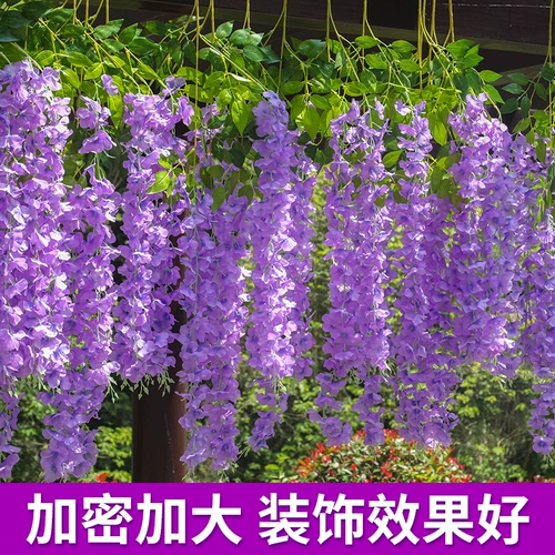Симуляция глицерия цветочный фасоль цветочный фасоль фиолетовый шелковый цветок