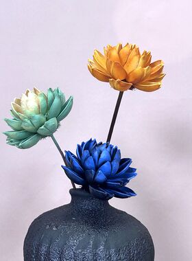 【荷花】手工植物干花花束风干永生花客厅摆放装饰拍摄道具