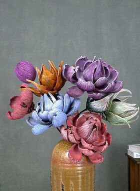彩色油画果莲现代客厅样板房干花