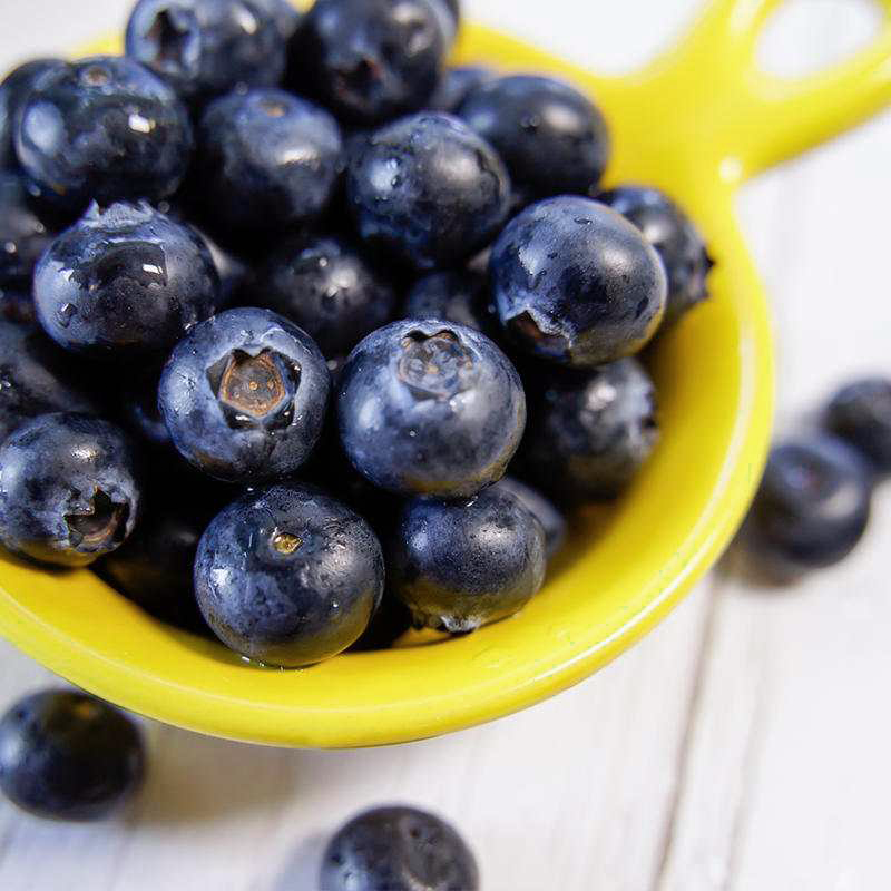 蓝莓爸爸生态园蓝莓老爸蓝莓鲜果当季云南大果新鲜现摘时令水果辅食顺丰包邮0