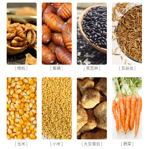 鹩哥鸟食饲料开元牌鸟食桶装精品鹩哥八哥专用营养鸟饲料全价鸟粮 - 图2
