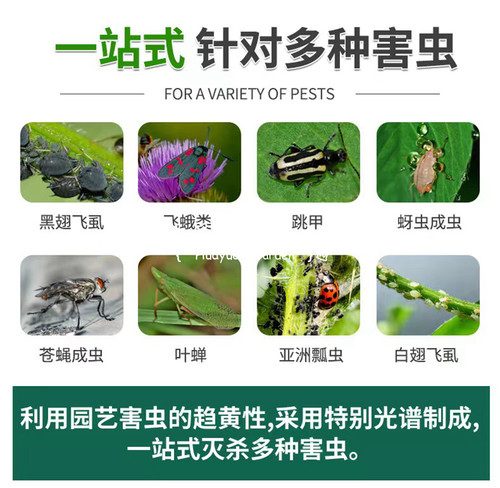 花缘咸菜 异型粘虫板 卡通粘虫板 黄板5个一组 - 图1