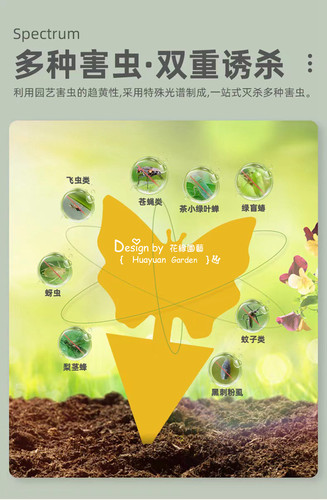 花缘咸菜 异型粘虫板 卡通粘虫板 黄板5个一组 - 图2