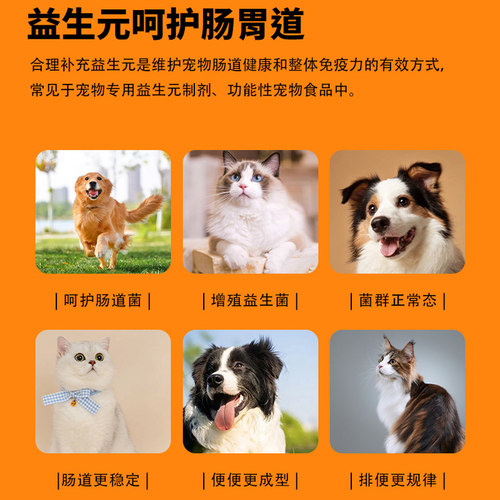 爱纳它贝肠宁猫咪益生菌增殖狗狗调理肠胃益生元软便稀便肠胃不适 - 图3