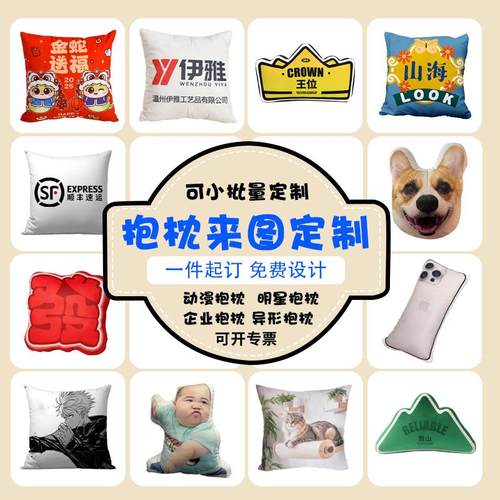 DIY抱枕定制企业LOGO来图定做毛绒印花照片沙发靠垫芯靠背套家居 - 图1