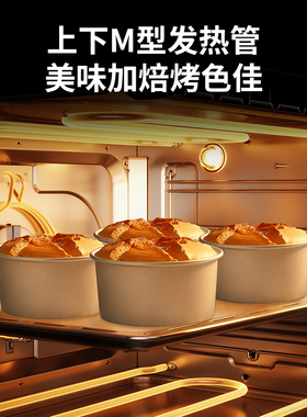 couss卡士风平二合一烤箱