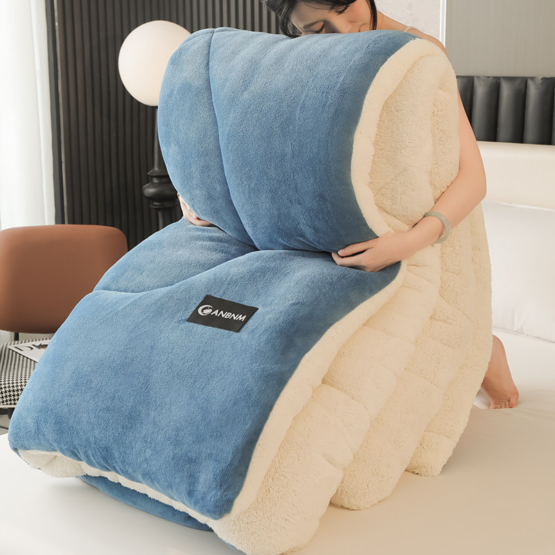 羊羔绒被子2025新款冬季棉被秋冬被加厚保暖10斤冬天宿舍单人被芯,淘宝优惠券,粉丝福利购,淘宝优惠卷