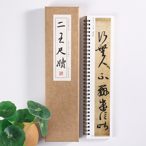 王羲之王献之《 二王尺牍》行书草书九帖手札 快雪时晴帖 平安帖丧乱帖游目帖中秋帖毛笔书法近距离临摹字帖字卡传本墨迹精选全集 - 图1