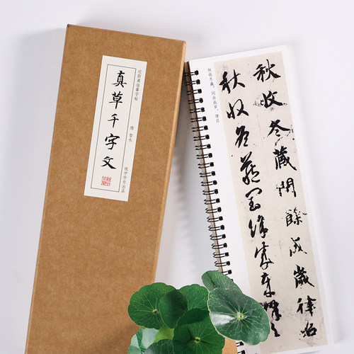 智永真草千字文墨迹楷书草书智永真书行书毛笔书法字帖描红智勇毛笔临摹卡楷书草书真草真书字帖二玄社放大版原大集字古诗描红 - 图2