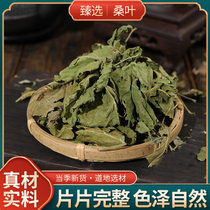 Chinese herbal medicine mulberry leaf dried wild cream after mulberry leaf mulberry leaf powder mulberry leaf tea