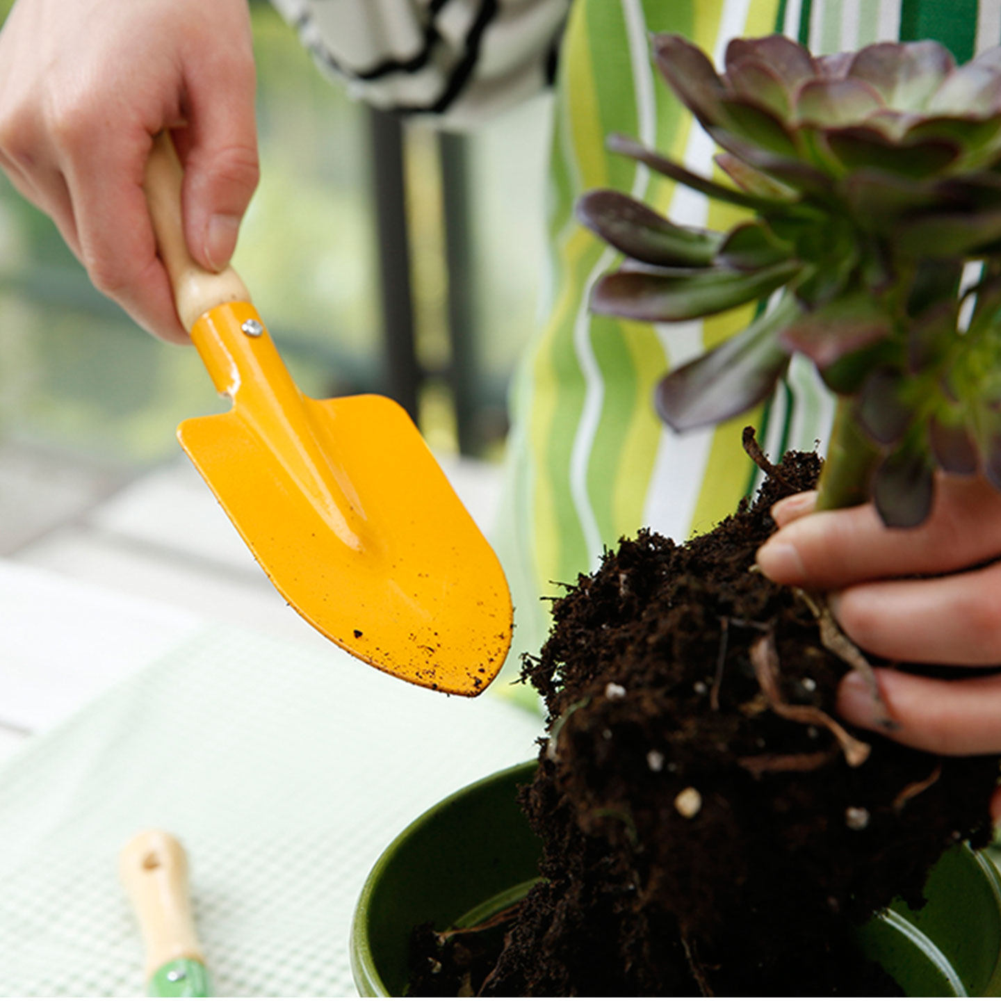 沃施worth儿童园艺工具多肉盆栽种植铲幼儿园种花小铲子挖沙赶海,淘宝优惠券,粉丝福利购,淘宝优惠卷