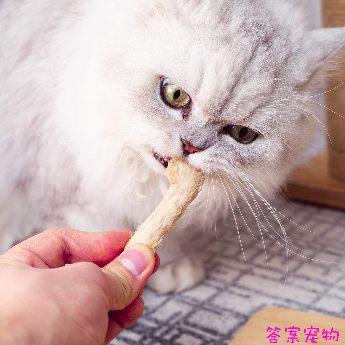 爱立方冻干生骨肉全猫粮零食冻干鸡肉鸭肉鹌鹑磨牙发腮包邮,淘宝优惠券,粉丝福利购,淘宝优惠卷