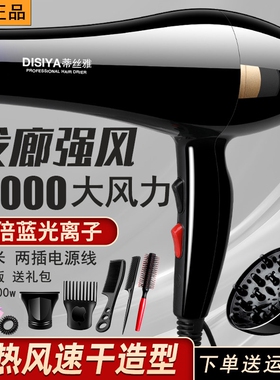 吹风机家用大风力负离子护发速干