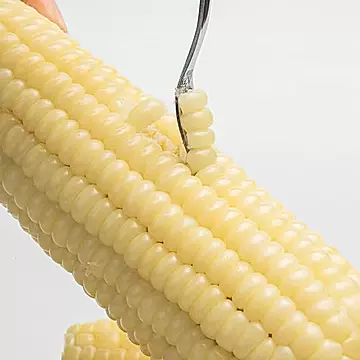 甜糯净甜软糯香黄玉米独立包装2.5kg/8根[44元优惠券]-寻折猪