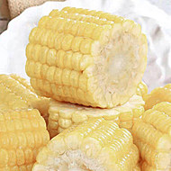甜糯净甜软糯香黄玉米独立包装2.5kg/8根
