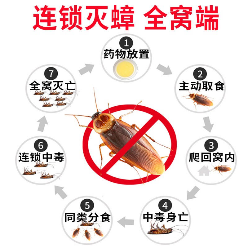 哗康华康杀蟑胶饵灭蟑螂药家用厨房一窝端强力杀蟑德国小蠊全窝端-图2