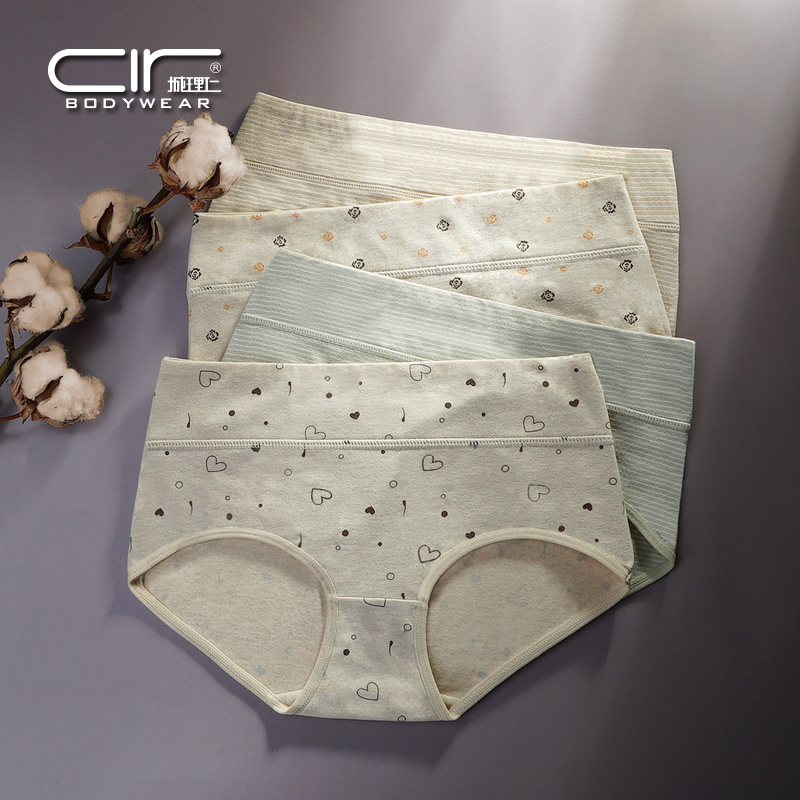  城理仁内衣内裤