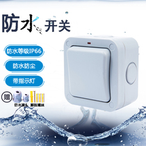 Outdoor waterproof switch Single-open outdoor garden room toilet single double control with indicator light Ming clothing Rain-proof IP66