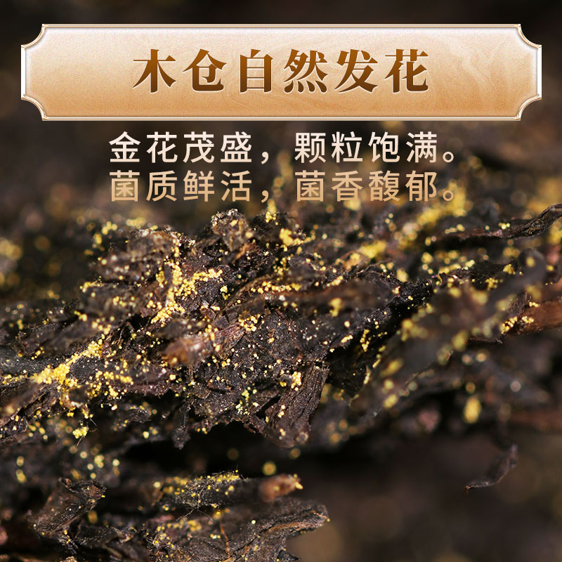 黑茶湖南安化 正宗白沙溪金花茯砖茶茯茶正品2018年御品茯茶318g - 图0