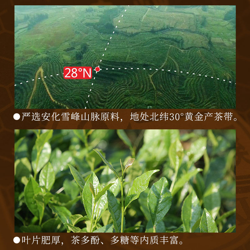 白沙溪湖南安化黑茶正品 正宗陈年份经典老茶砖2023年黑砖茶1600g,淘宝优惠券,粉丝福利购,淘宝优惠卷