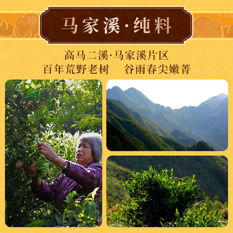  白沙溪安化黑茶