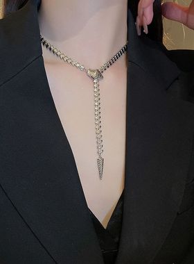 蛇形项链女款2024新款爆款轻奢小众欧美高级感锁骨毛衣链颈链配饰