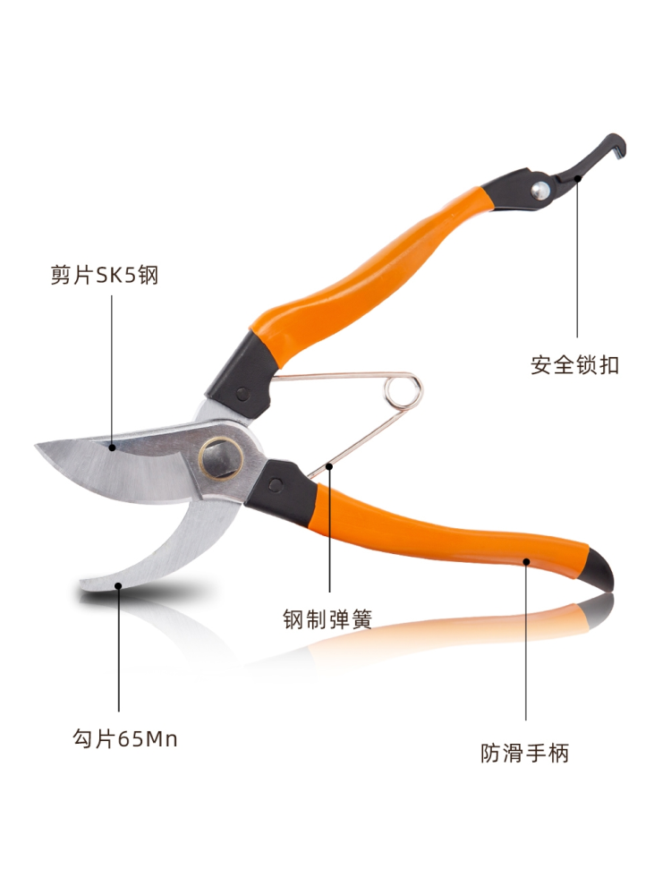 张小泉园艺剪枝剪刀修枝剪果树枝剪树枝专用剪园林粗枝花艺剪正宗,淘宝优惠券,粉丝福利购,淘宝优惠卷