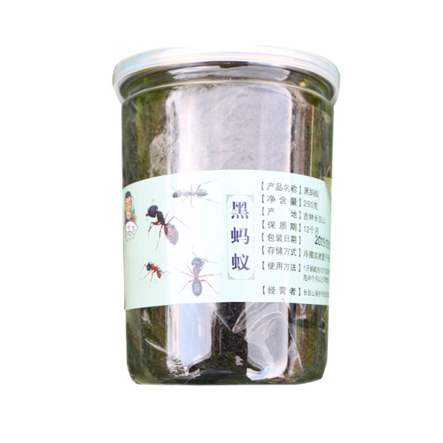 东北长白山黑蚂蚁泡酒500g蚁酸充足大山蚂蚁非拟黑多刺蚁干 - 图3
