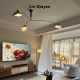Original Serge Mouille chandelier