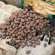 Ceramite Potted Mat Bottom Breathable Ceramica Multimeat Orchid Hair Chaetree Plant Paved Ground Floor Water-Absorbing Water Retention Ceramsite Balls