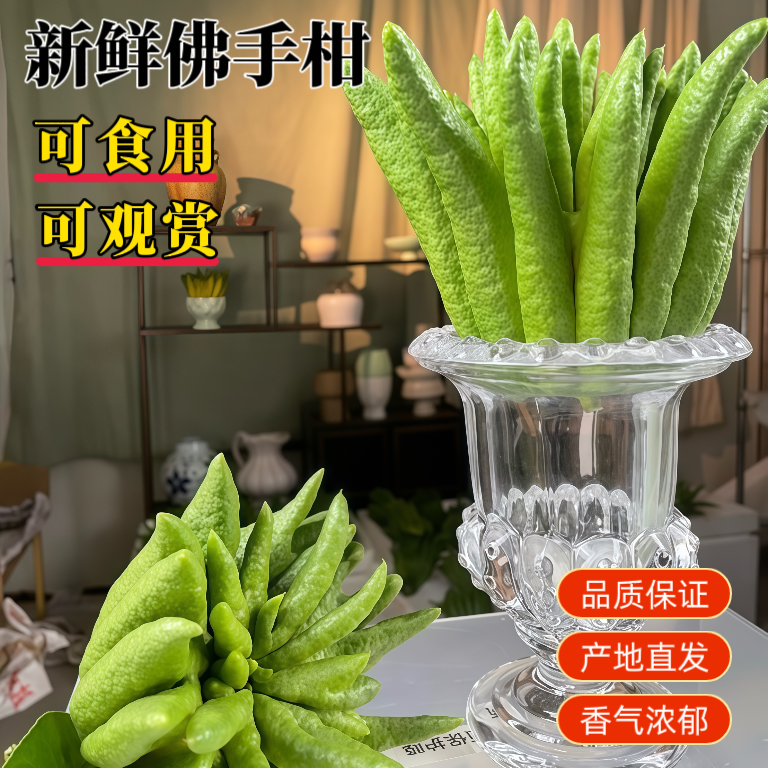 云南高山佛手柑原产地新鲜现摘特大果淡香佛台清供闻香超大果王,淘宝优惠券,粉丝福利购,淘宝优惠卷