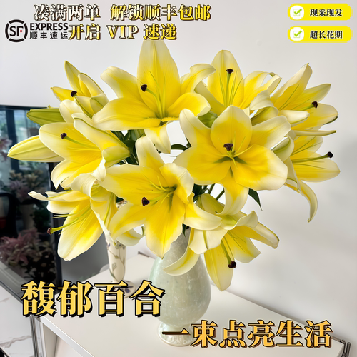 香水百合鲜花浓香型鲜花云南基地直发日常插瓶高端花材氛围感鲜花 - 图2