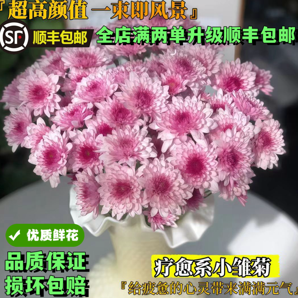 鲜花三文鱼小雏菊鲜花水养插花水养鲜花花期超长家庭办公室摆件,淘宝优惠券,粉丝福利购,淘宝优惠卷