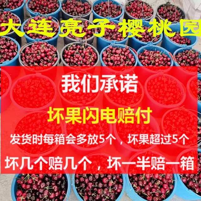 5斤大连大樱桃新鲜美早沙蜜豆托甜红现摘现发自家顺丰包邮特大果 - 图2