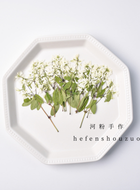 飘雪真花相框diy手工材料