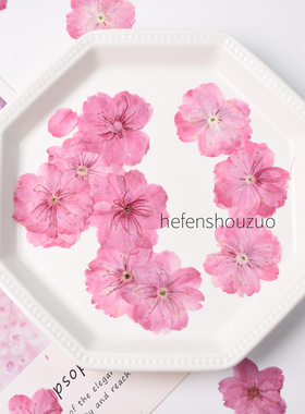 河粉手作樱花压花装饰diy材料