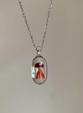 大海又一次寄来了漂亮礼物