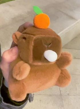 会吐泡泡还会发声的卡皮太解压啦