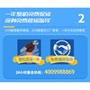 Blue guide brushless high temperature and high pressure steam cleaning machine