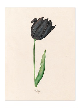 liveart复古风铃花卉经典名画原版装饰画Magdelena Rosina Funck