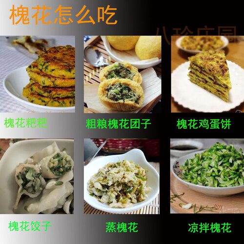 2026新鲜冰冻槐花洋槐花花骨朵槐花野菜蒸菜顺丰包邮冷冻发货顺丰 - 图2