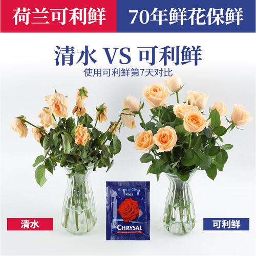 荷兰可利鲜鲜花保鲜剂营养剂家用清亮营养液保鲜液花店百合保水剂 - 图1
