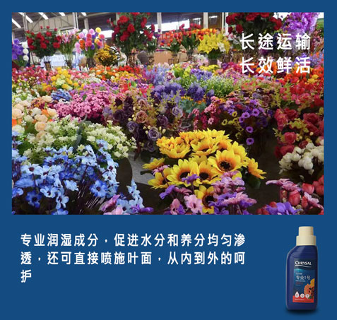 进口荷兰可利鲜鲜花保鲜剂营养液延长剂加强型通用型HVB花店专用-图2