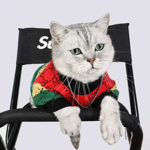 Кошачья одежда осень и зимняя радуга четырехцветная свитер собака смешно