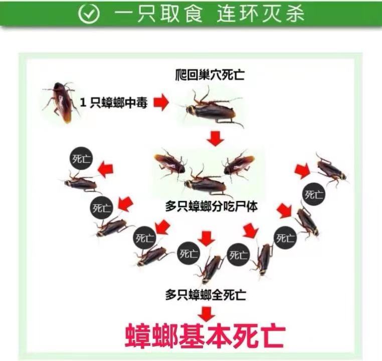 富培美杀蟑螂药家用绝强力扫净神器厨房大小通家用喷雾 - 图2