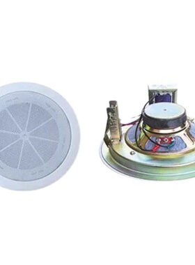 DJSPEAKER专业广播音响天花吸顶超市 咖啡厅音视频会议客厅DSD-2