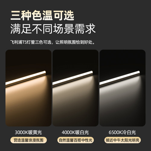 飞利浦led长条灯管t5一体化条形灯家用工厂车间吸顶T8长条支架灯 - 图0